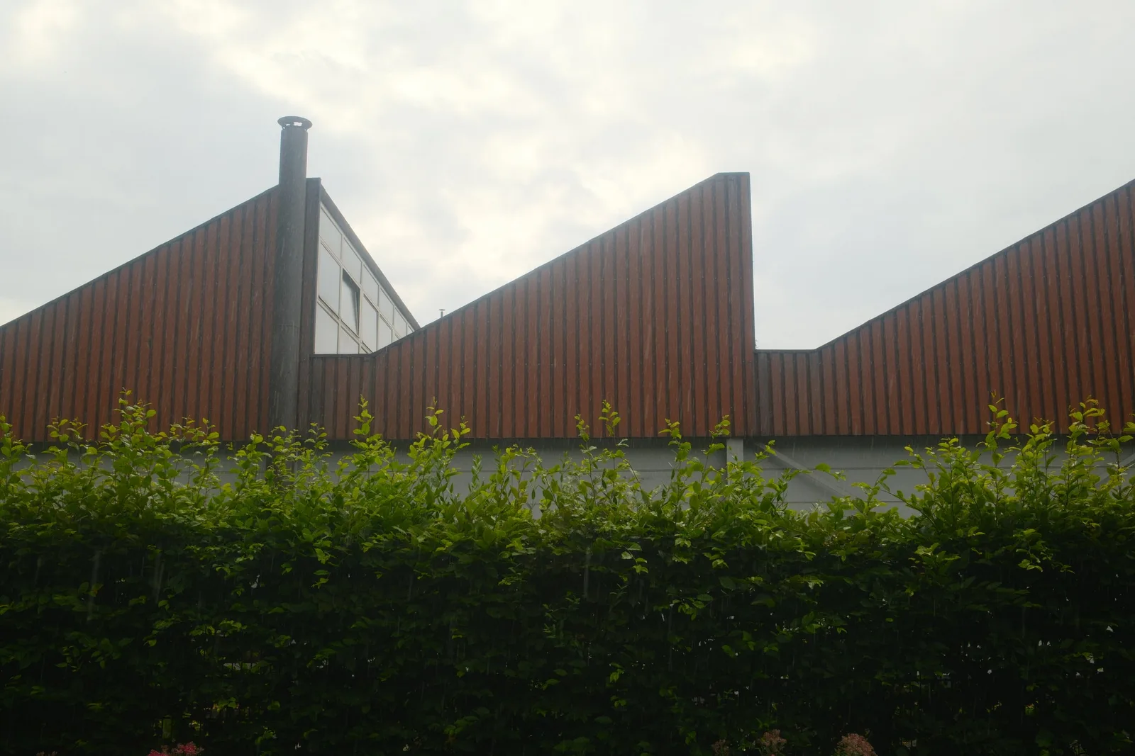 DSCF7776