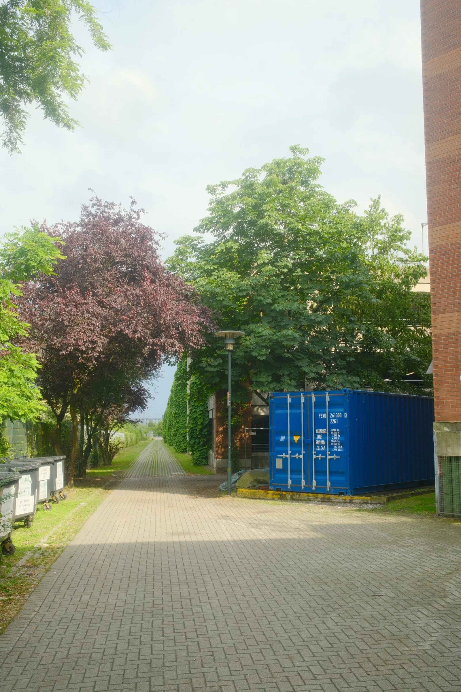 DSCF7802
