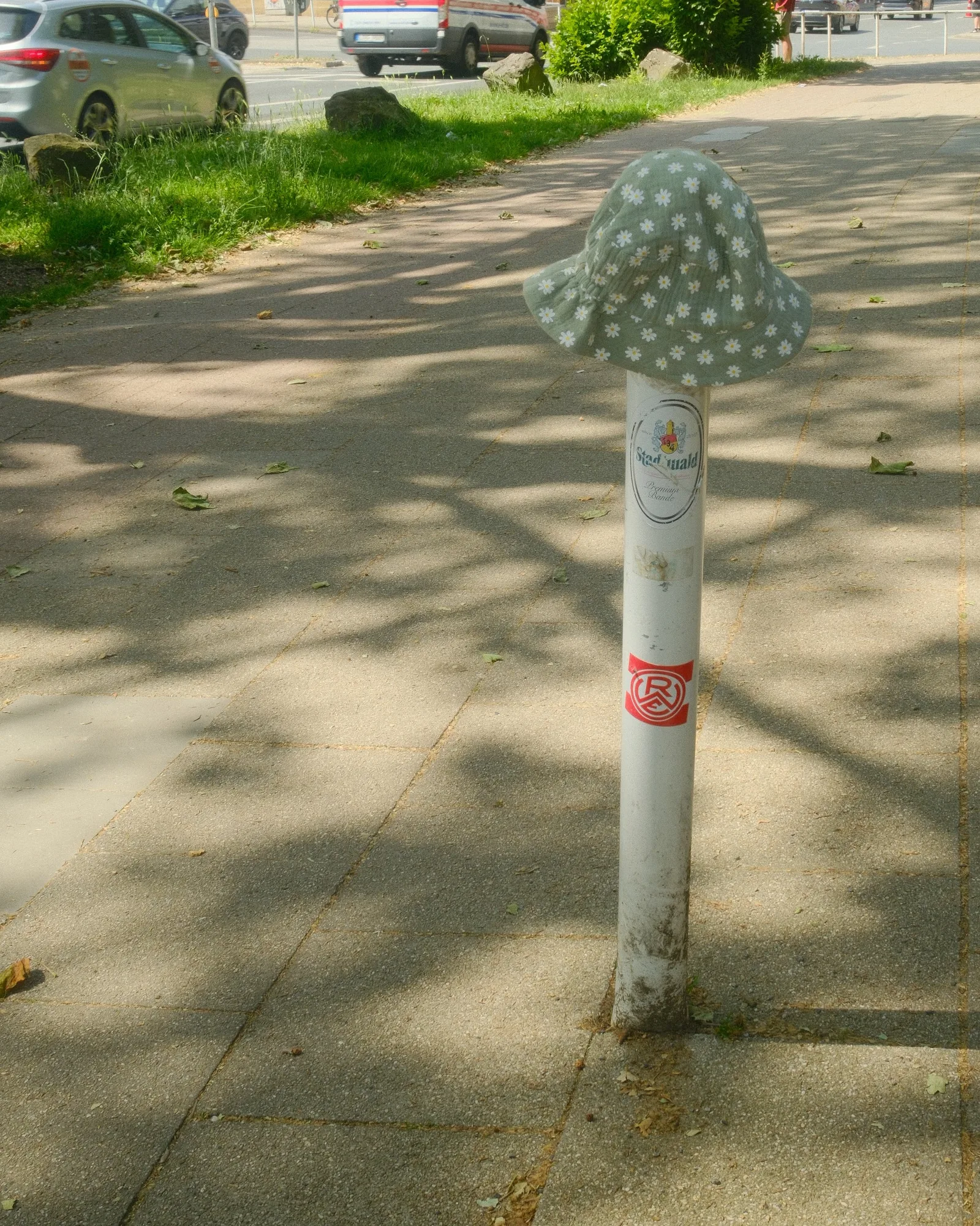 DSCF7718