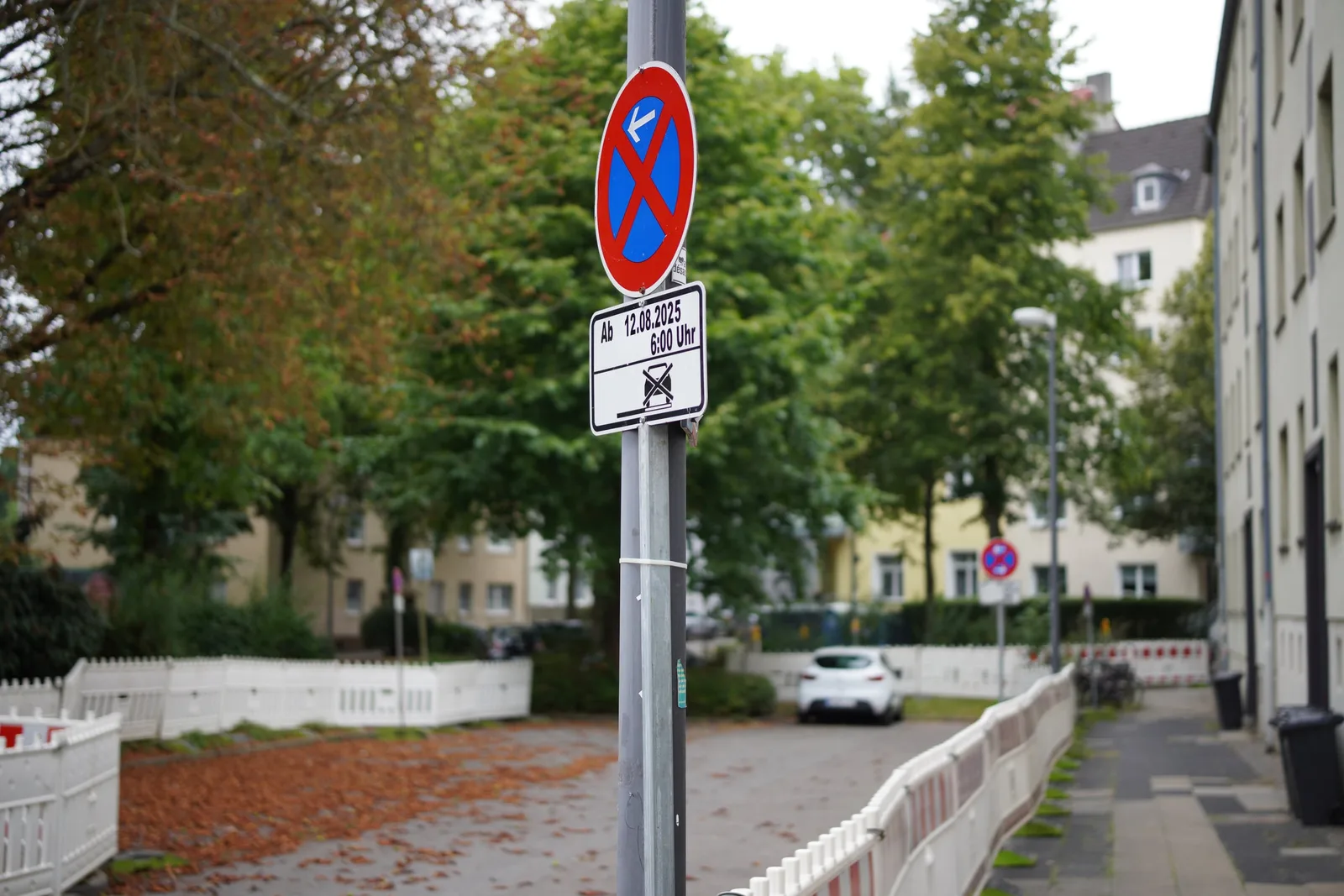 DSC00008