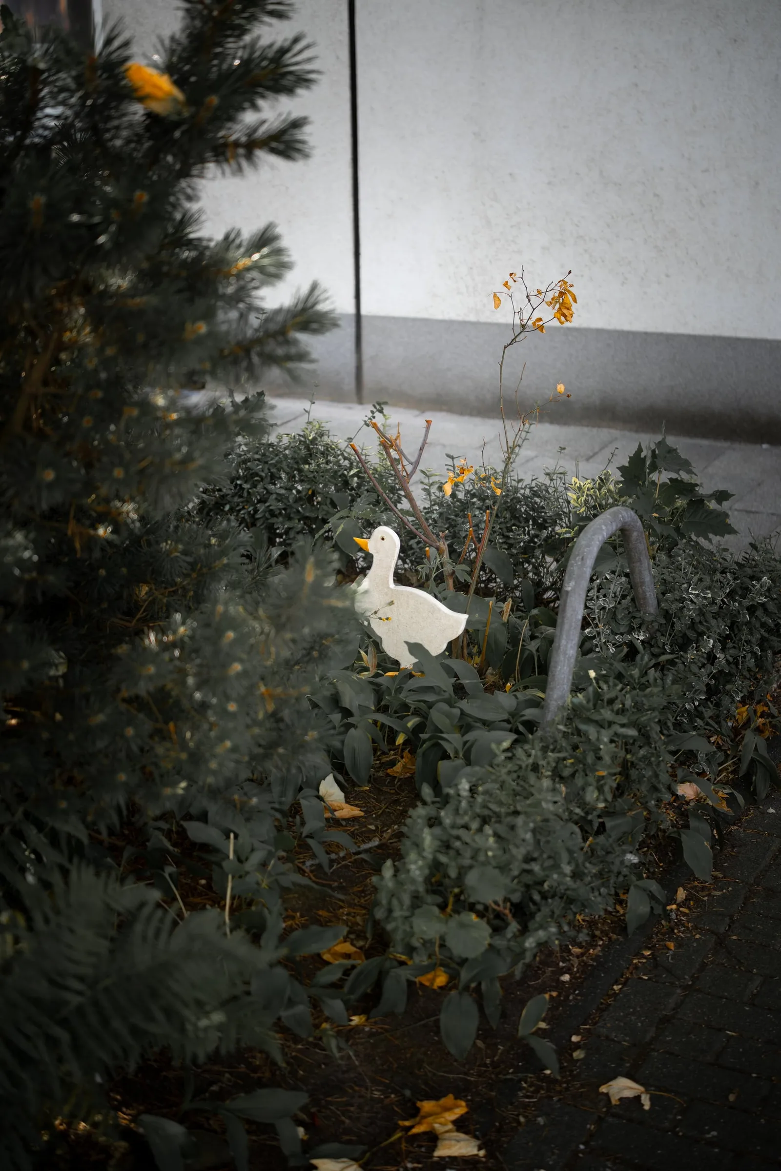 DSC00218