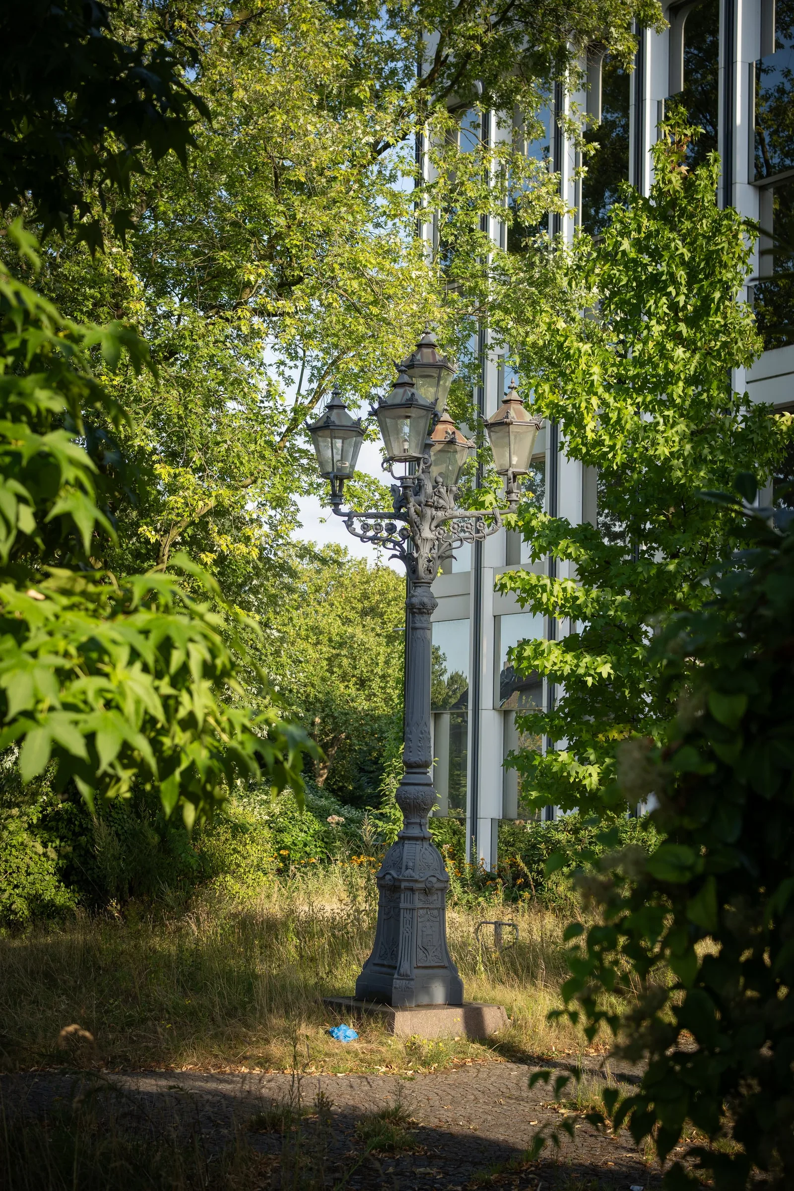 DSC00300