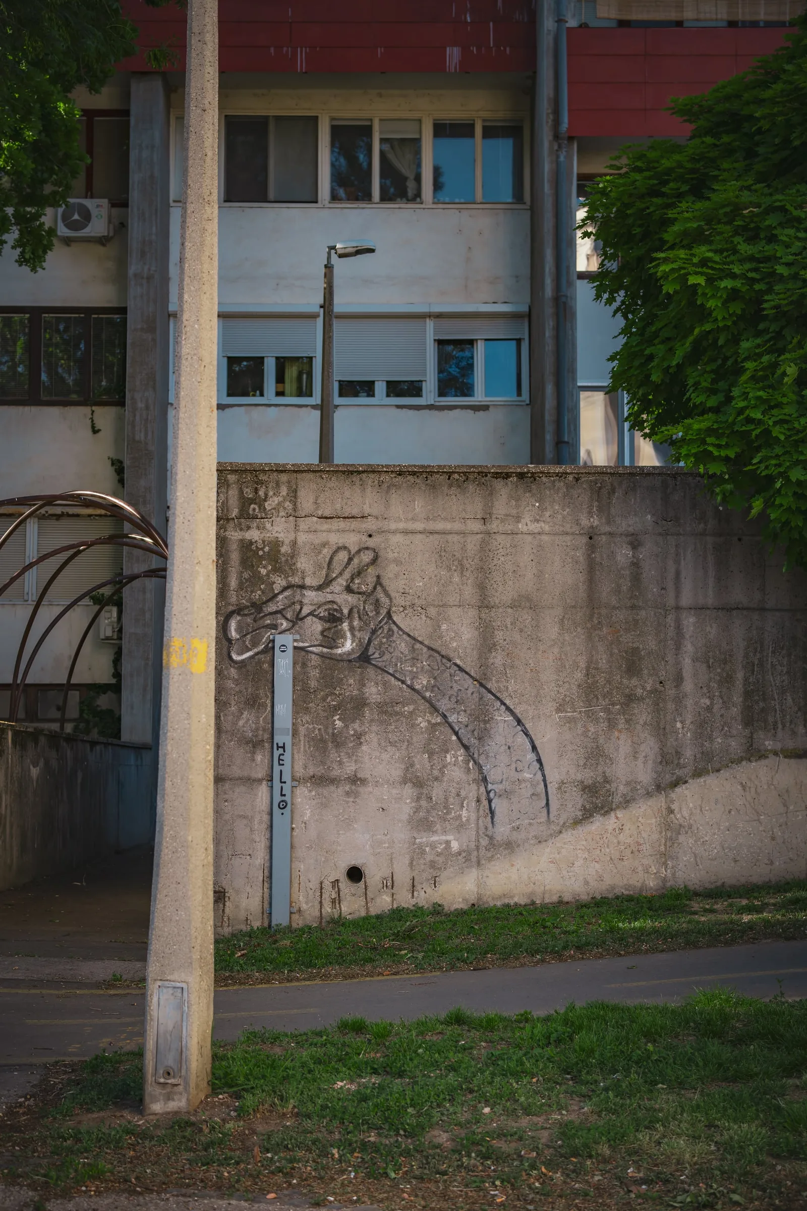 DSC01876