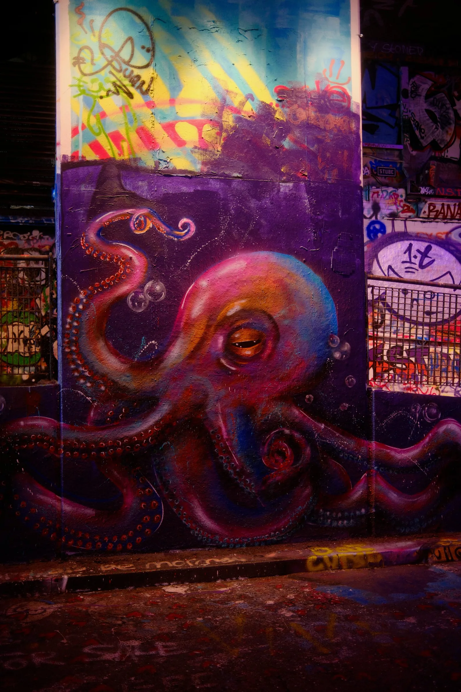 DSCF8228
