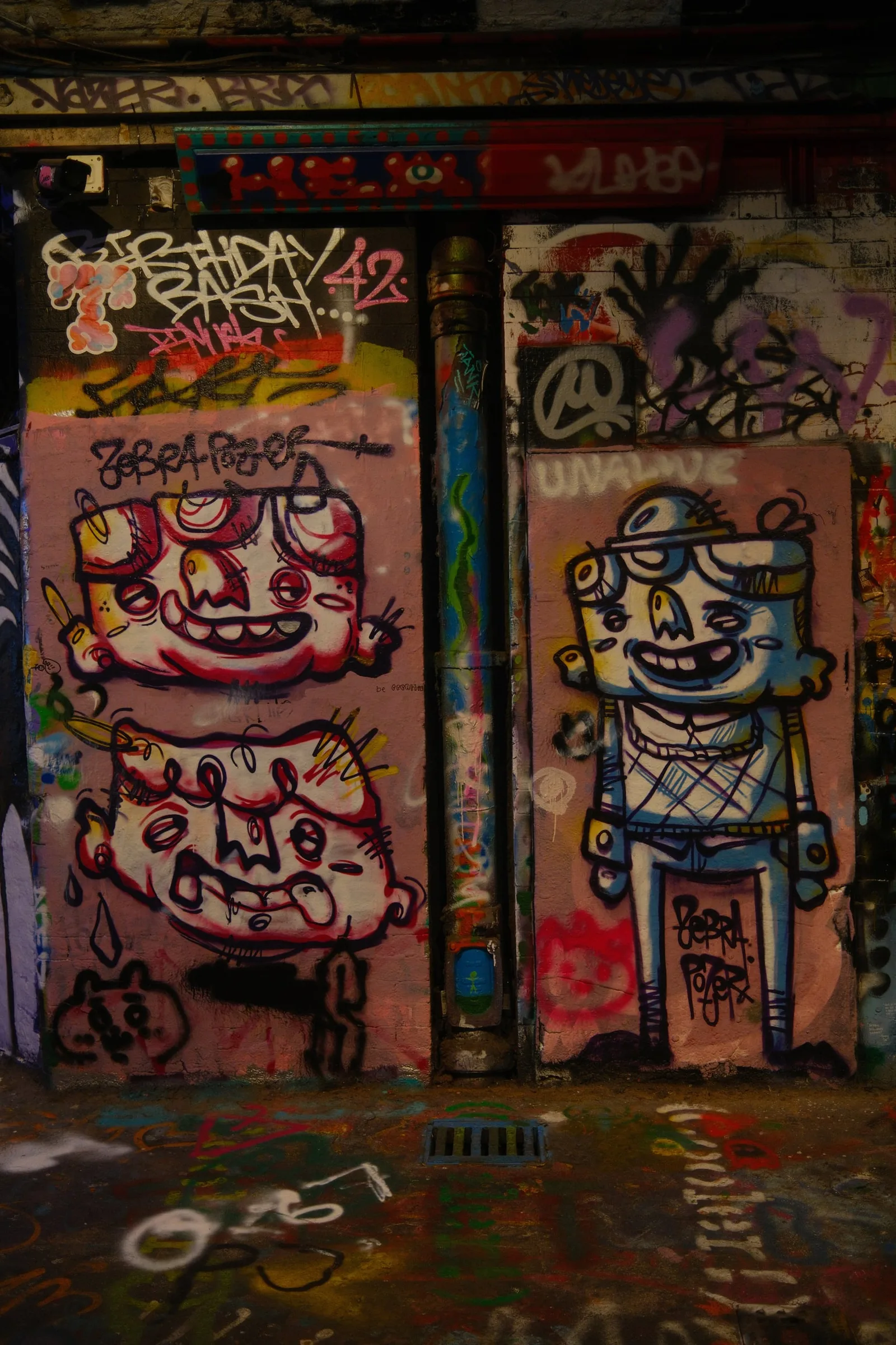 DSCF8237