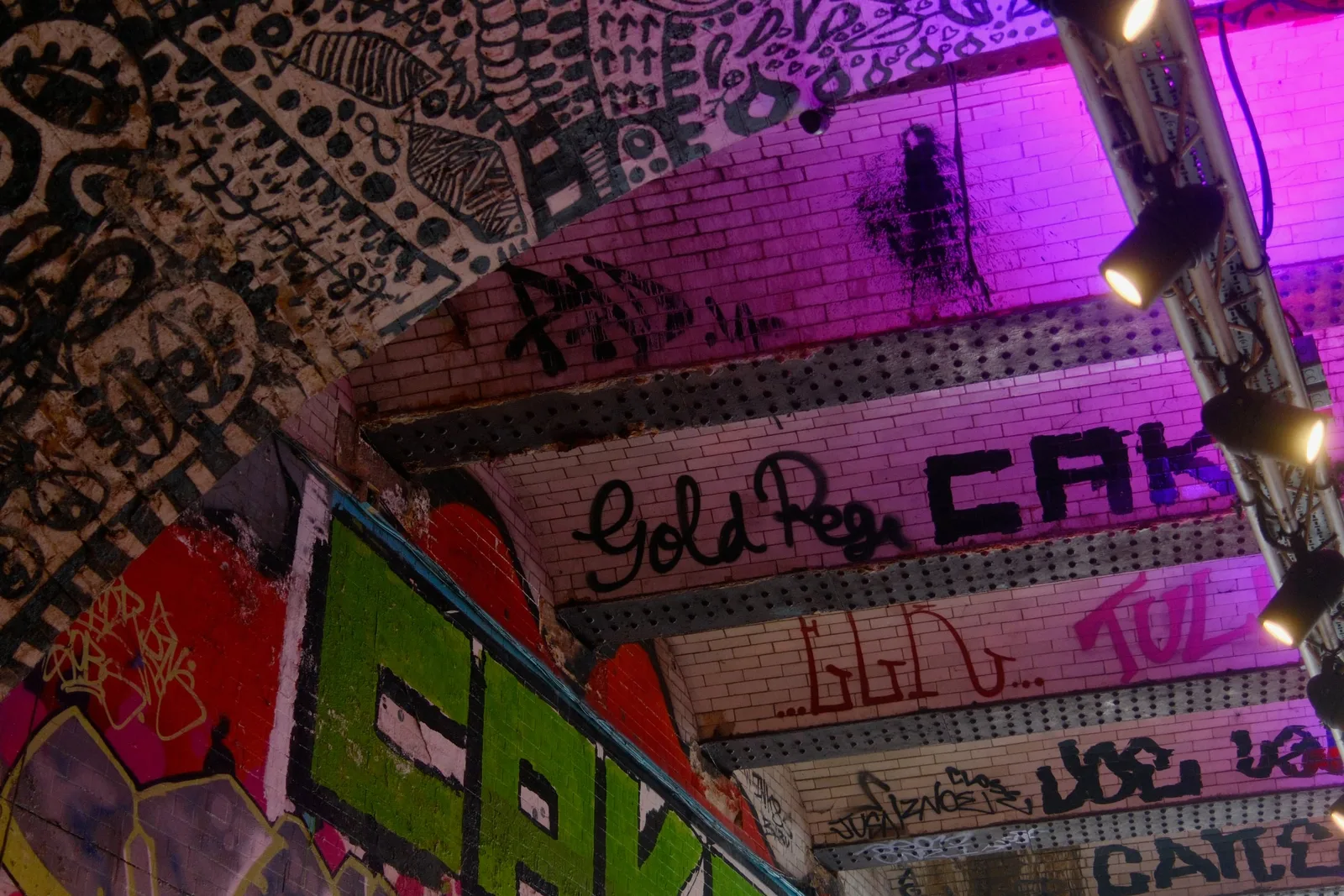 DSCF8246