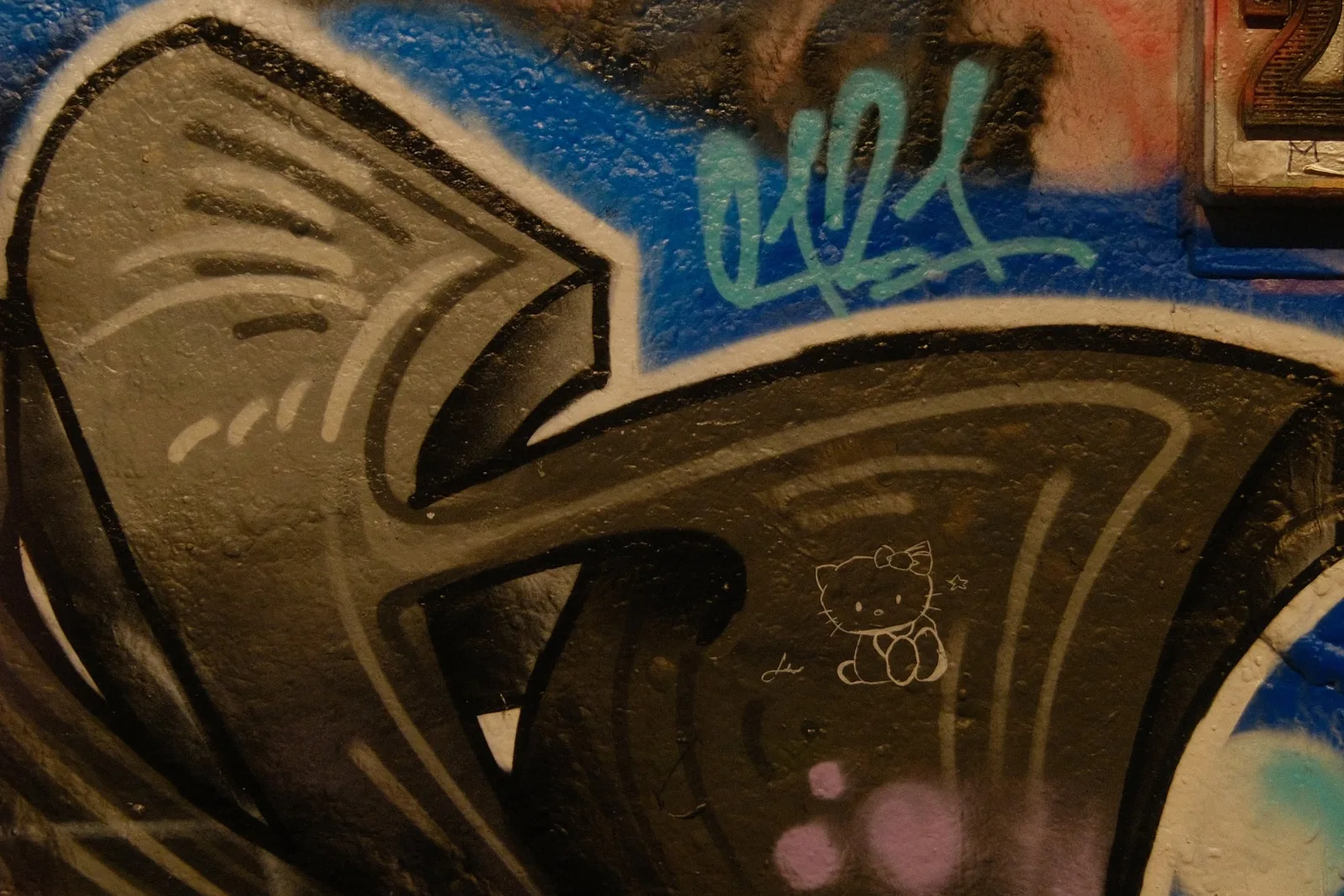 DSCF8255