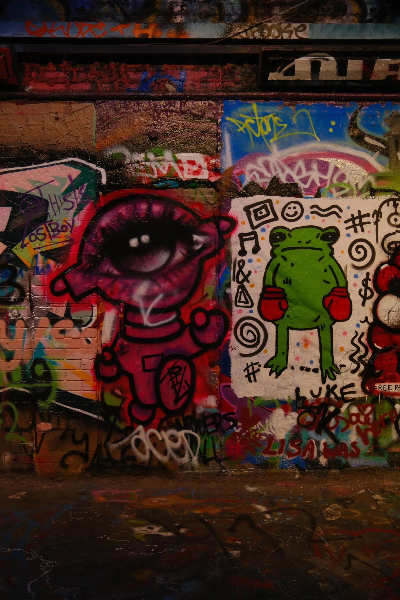 DSCF8257