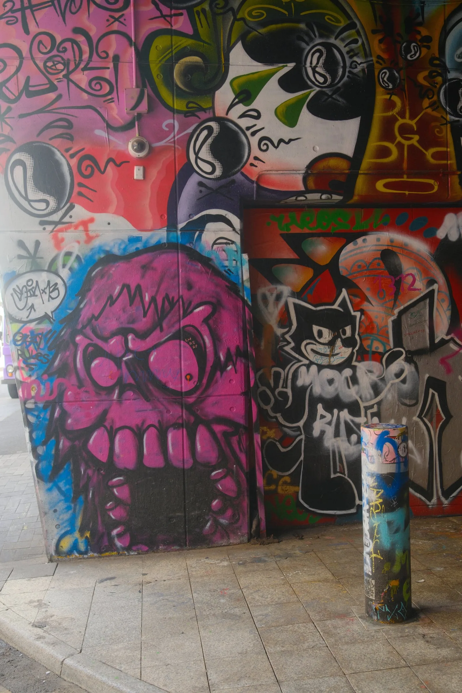 DSCF8258