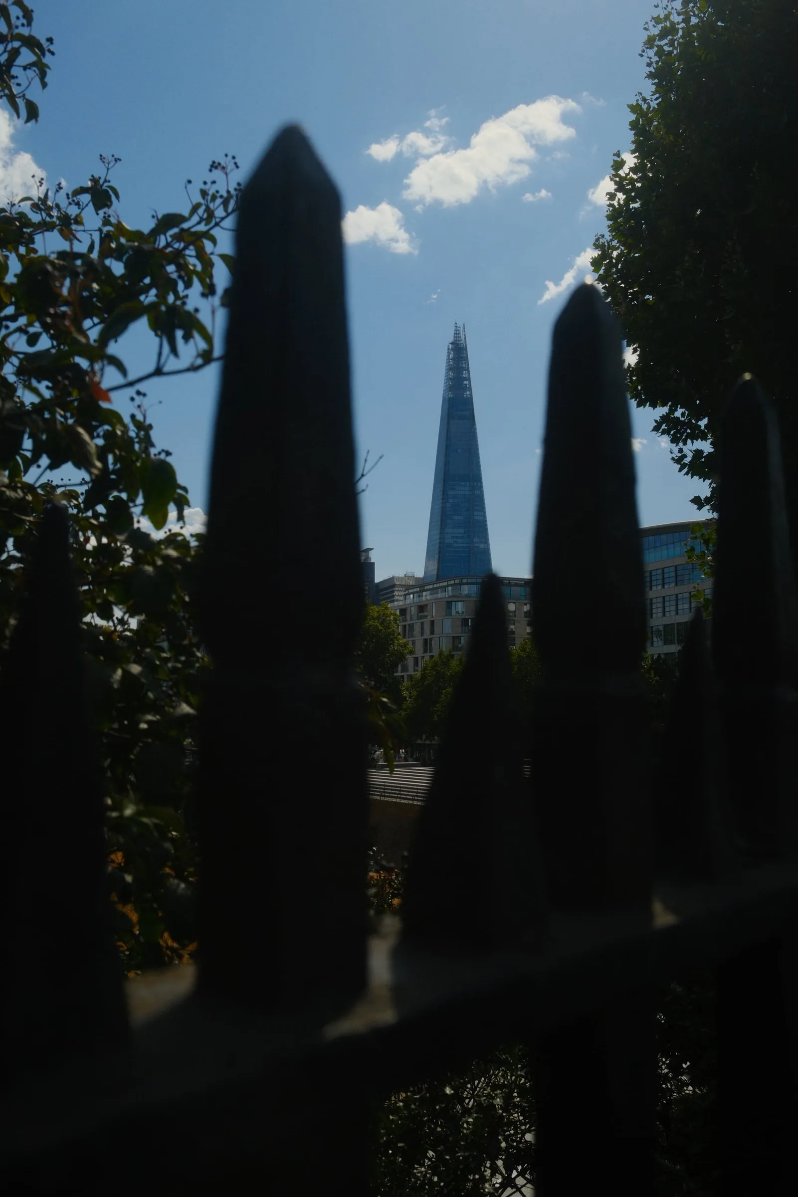 DSCF8586