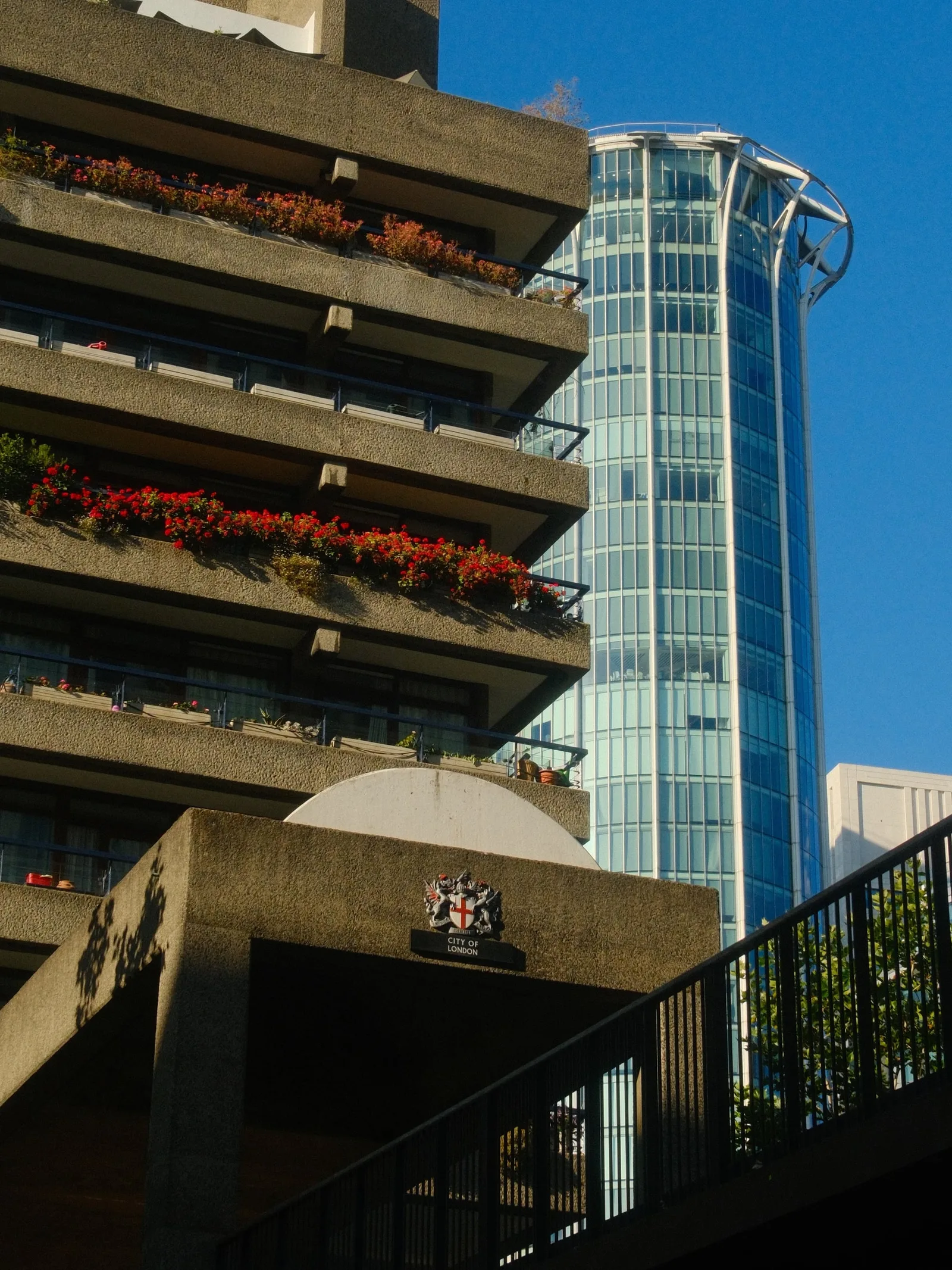 DSCF8677