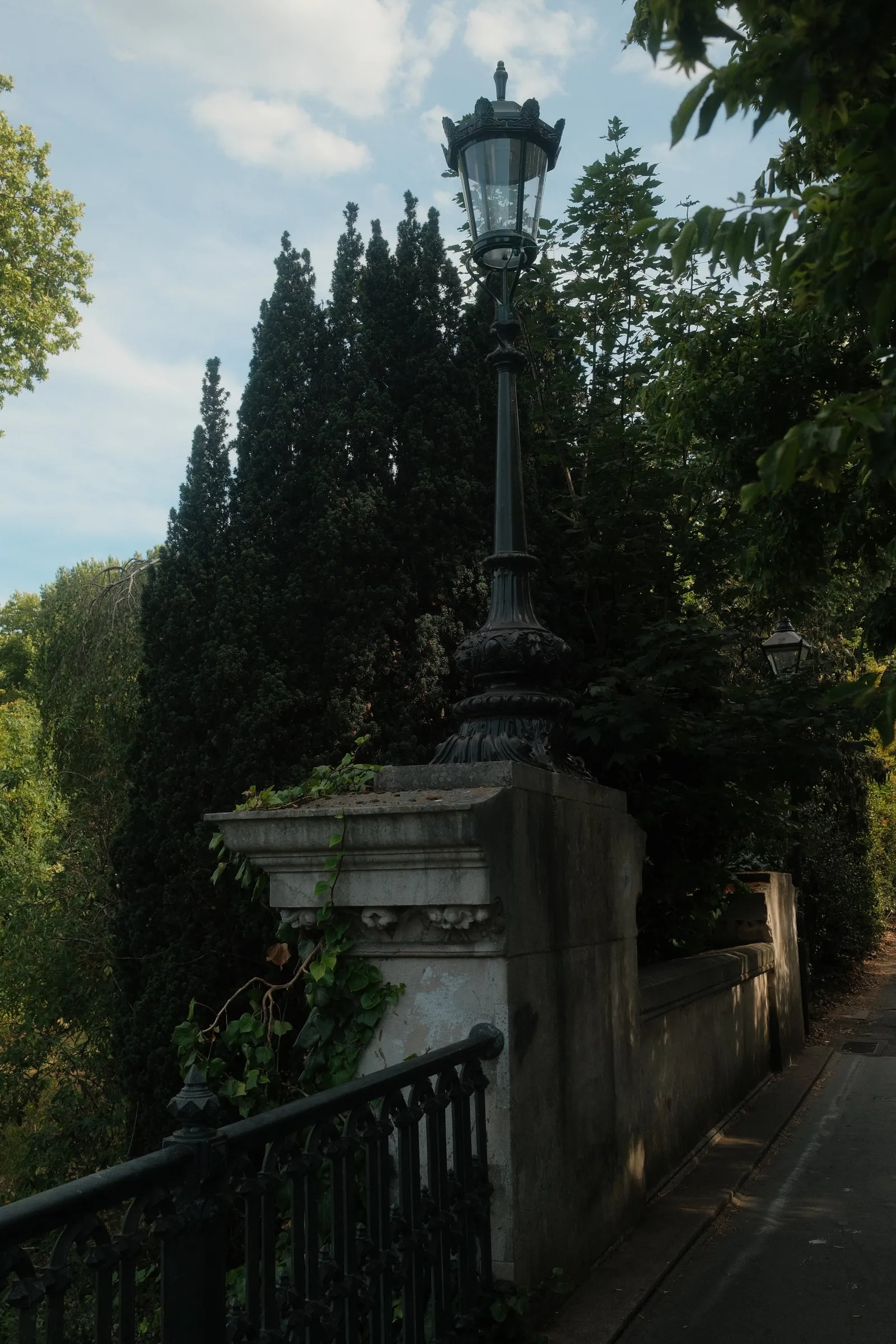 DSCF8775