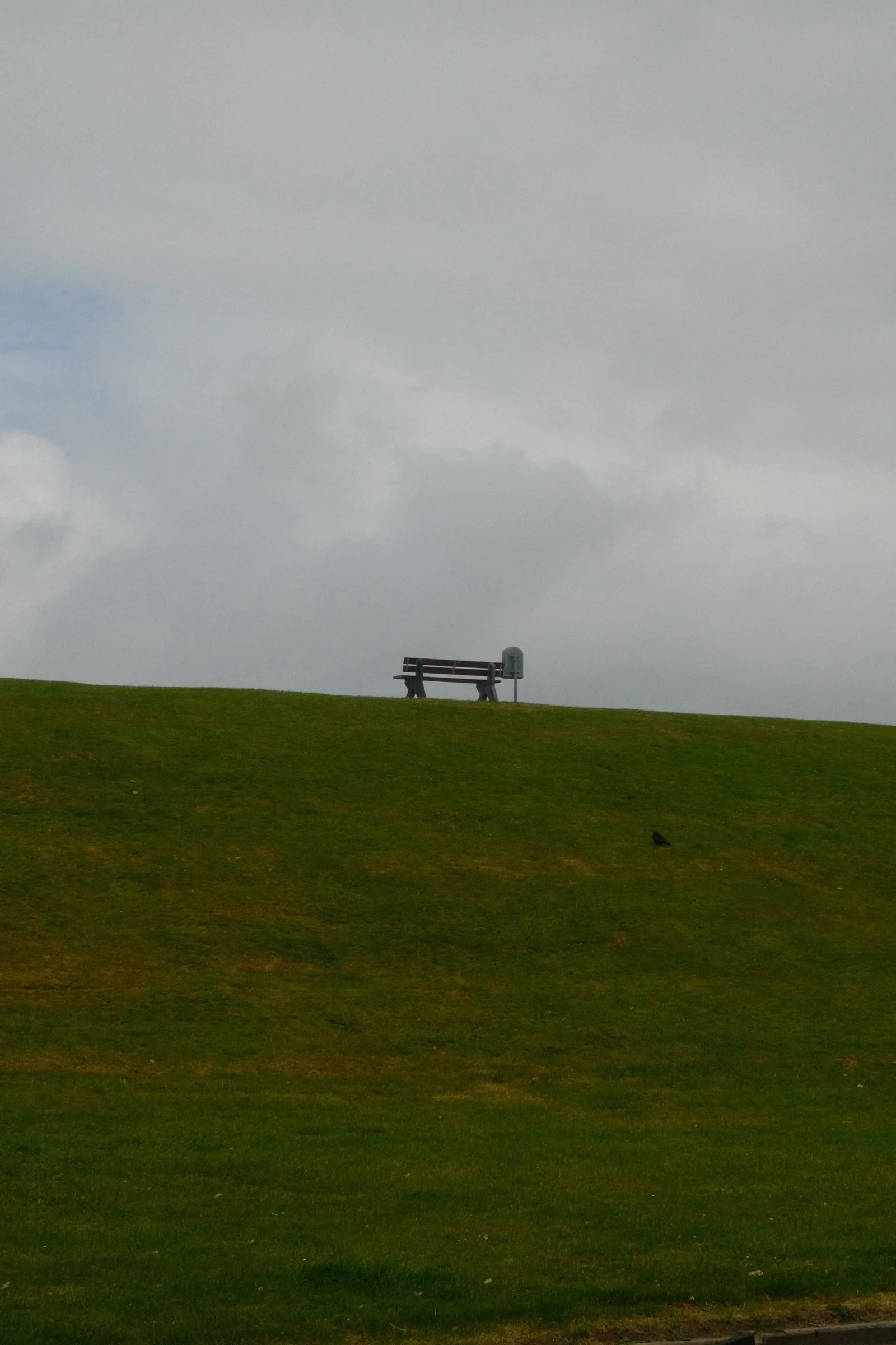 DSCF8004